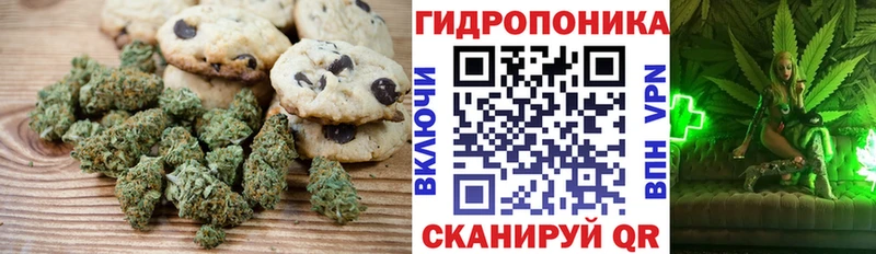Canna-Cookies марихуана  Приволжский 