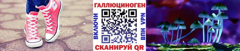 Галлюциногенные грибы Cubensis  где можно купить   Приволжский 